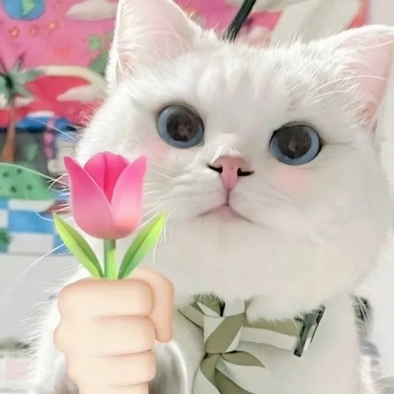 Meme mèo tặng bông hoa giúp bạn thể hiện sự dễ thương trong dịp lễ Meme mèo tặng bông hoa giúp bạn thể hiện sự dễ thương trong dịp lễ