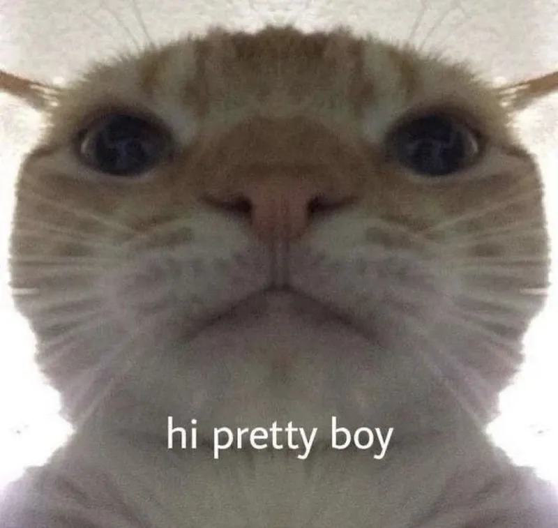 Say hi meme là cách đơn giản để chào hỏi bạn bè