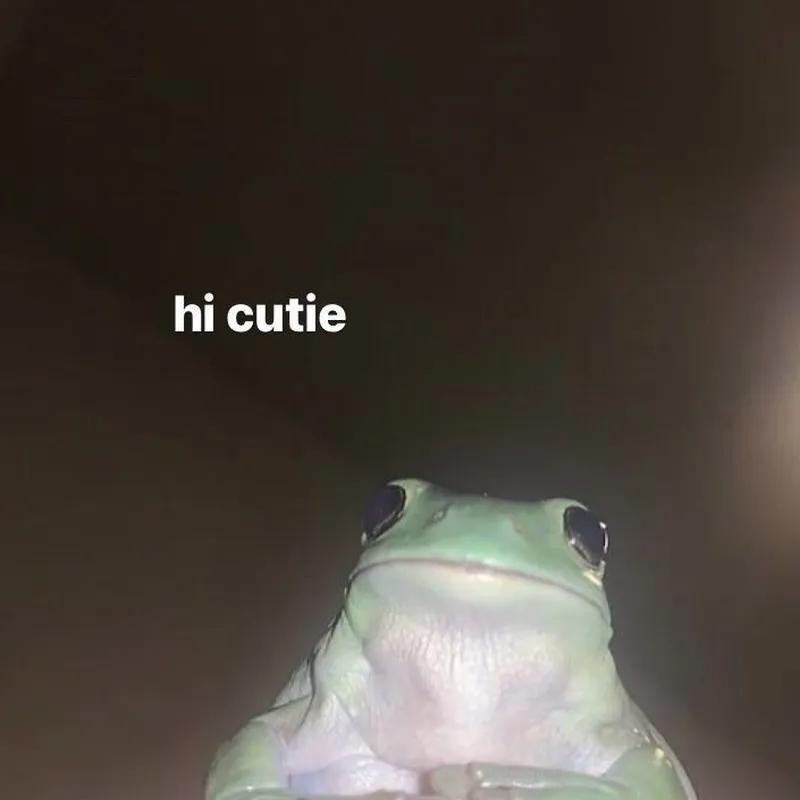 Meme hello hài mang lại tiếng cười cho những lời chào