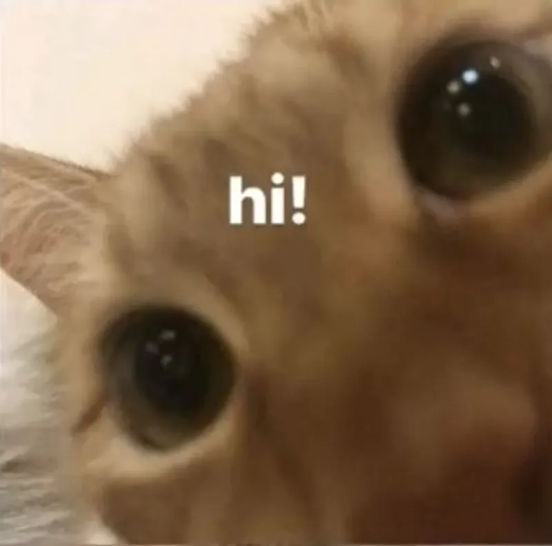Meme hello bạn nhỏ dễ thương cho những ai yêu thích sự ngọt ngào