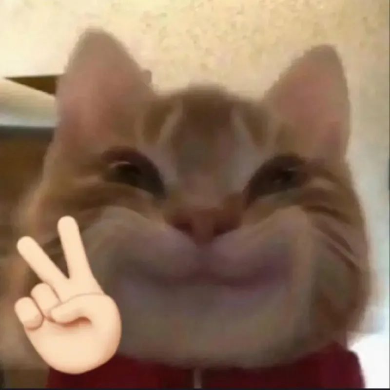 Hình hello meme mang lại sự dễ thương cho mọi lời chào