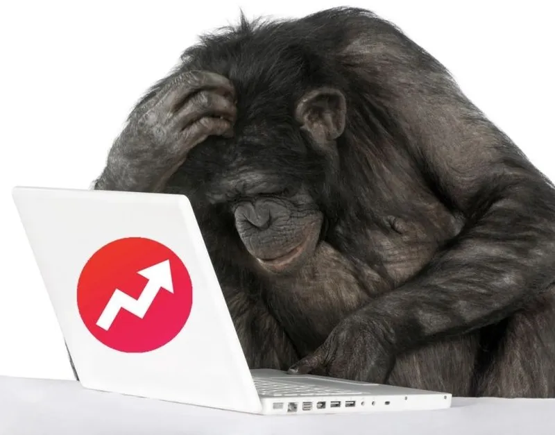 Hành tinh khỉ meme là biểu tượng cho những khoảnh khắc ngớ ngẩn