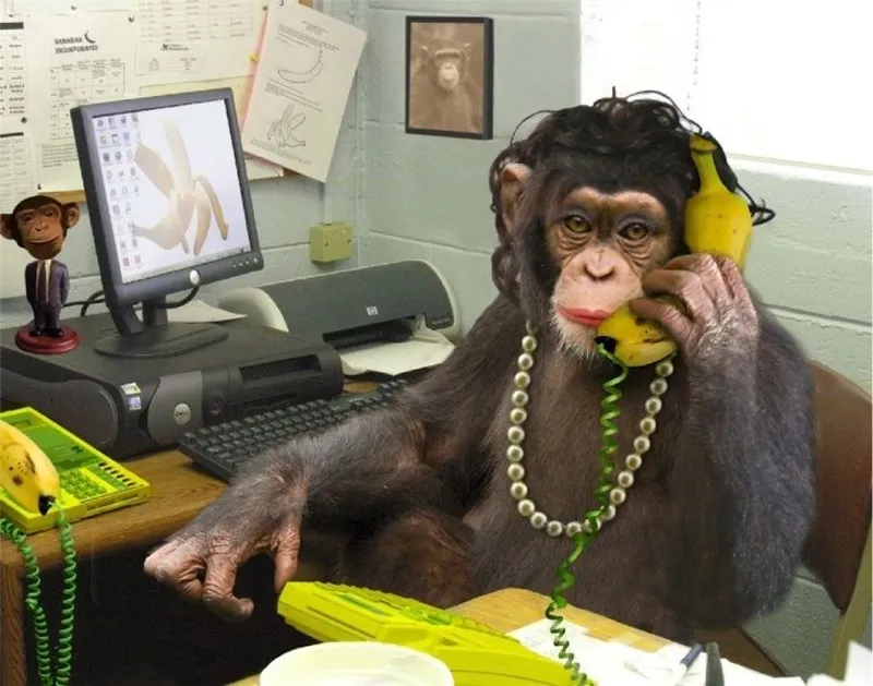 Rizz monkey meme là hình ảnh hài hước không thể quên