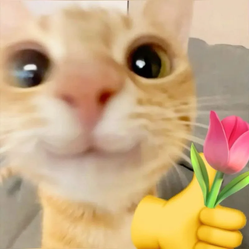 Meme tặng hoa cute thật dễ thương và vui nhộn Meme tặng hoa cute thật dễ thương và vui nhộn