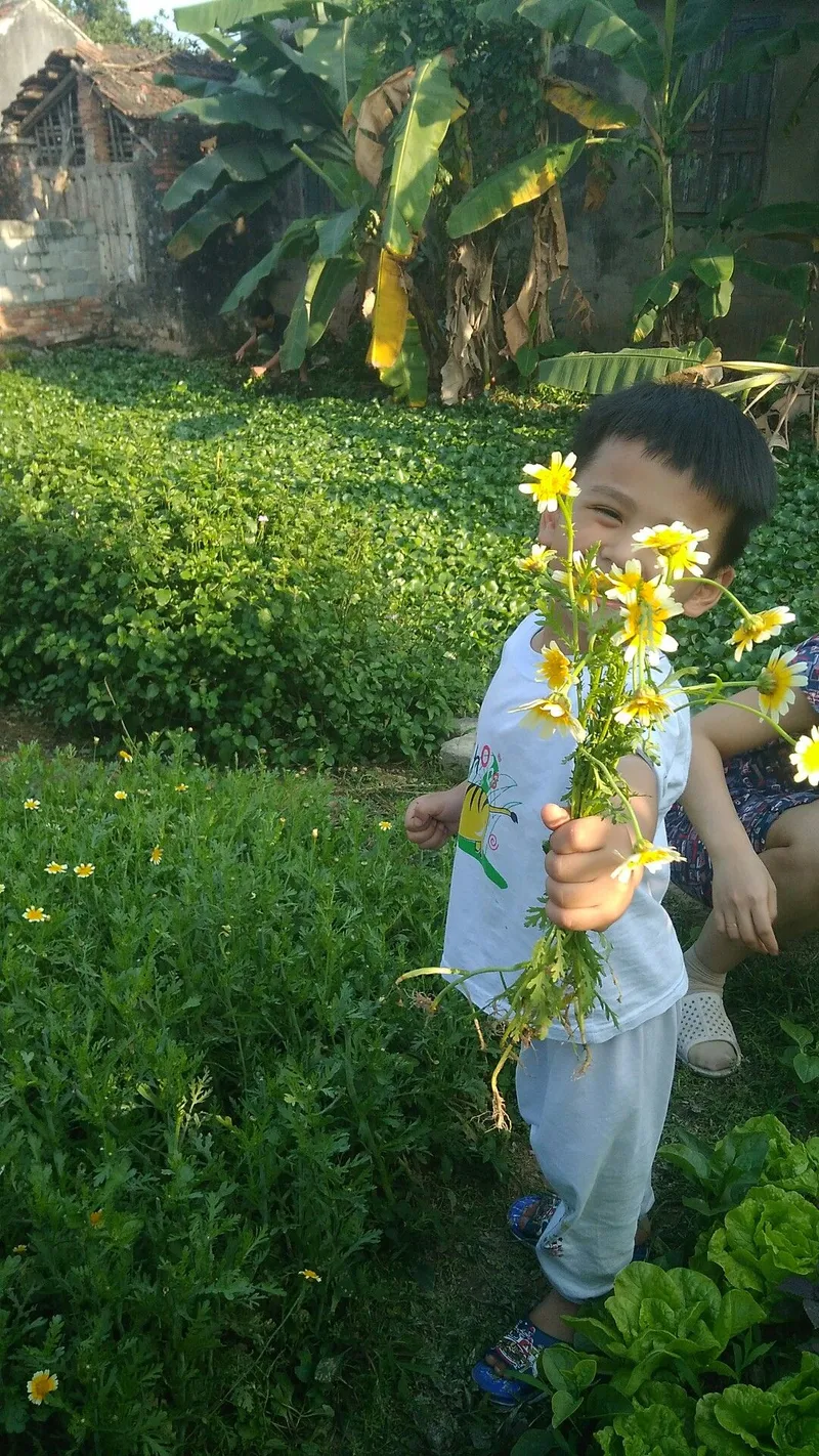 Tỏ tình crush cute meme tặng hoa thật ngọt ngào Tỏ tình crush cute meme tặng hoa thật ngọt ngào