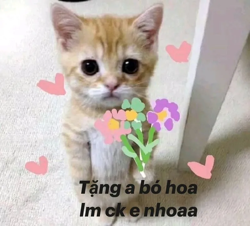 Meme cheems tặng hoa thật hài hước và thú vị Meme cheems tặng hoa thật hài hước và thú vị