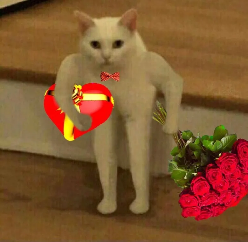 Tặng hoa hồng meme khiến bạn cảm thấy thích thú Tặng hoa hồng meme khiến bạn cảm thấy thích thú