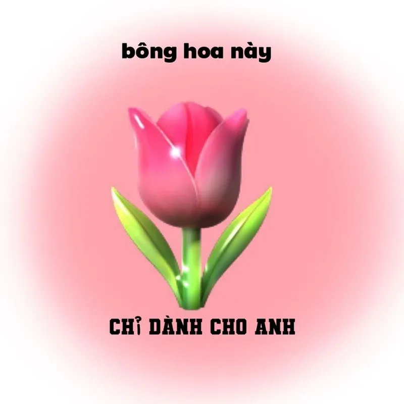 Trái tim meme mèo cute thật dễ thương và vui nhộn Trái tim meme mèo cute thật dễ thương và vui nhộn