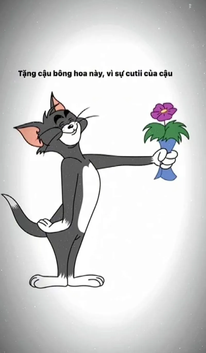 Meme ảnh mèo tặng nhẫn khiến trái tim bạn tan chảy Meme ảnh mèo tặng nhẫn khiến trái tim bạn tan chảy