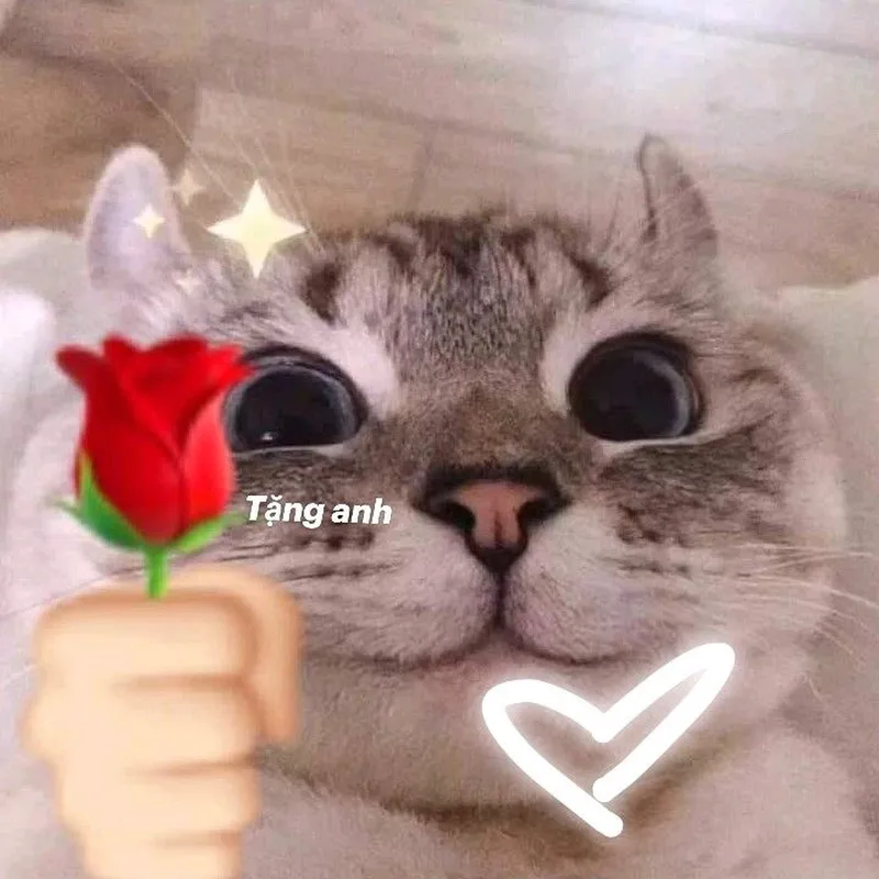 Cho kẹo nè meme thật hài hước và thú vị Cho kẹo nè meme thật hài hước và thú vị