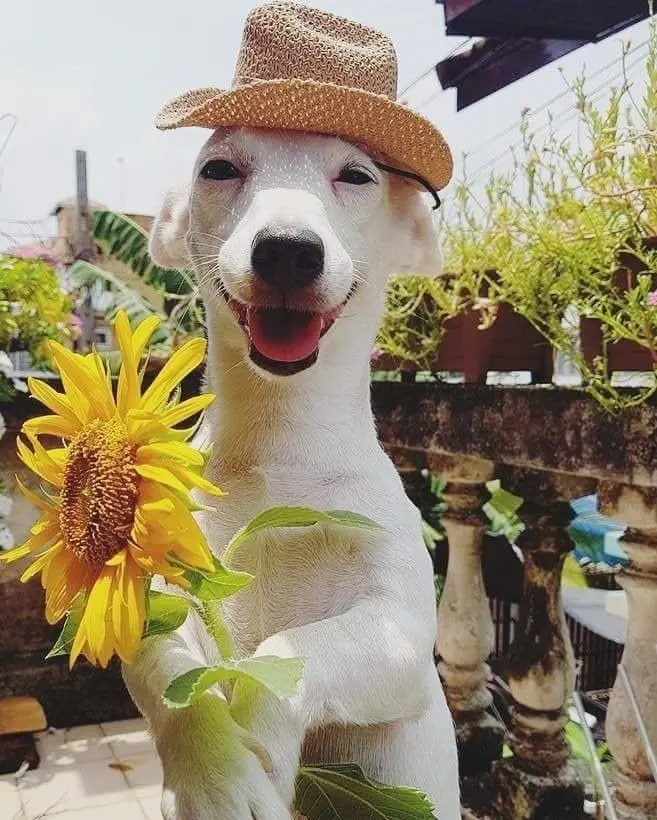 Meme cầm tiền khiến bạn không thể rời mắt Meme cầm tiền khiến bạn không thể rời mắt