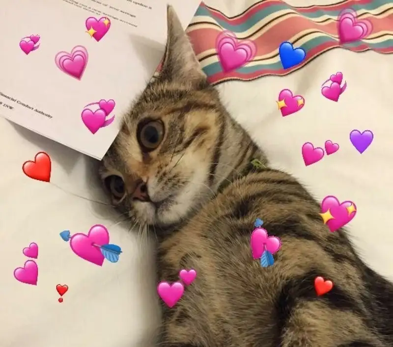 Meme tặng khiến trái tim bạn tan chảy Meme tặng khiến trái tim bạn tan chảy