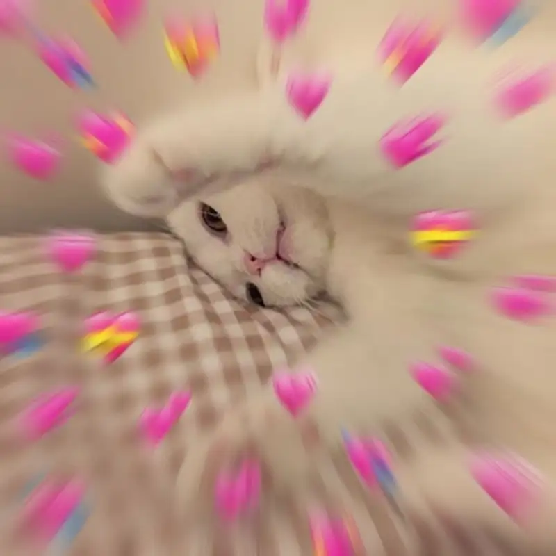 Đừng làm trái tim anh đau meme thật hài hước và thú vị Đừng làm trái tim anh đau meme thật hài hước và thú vị