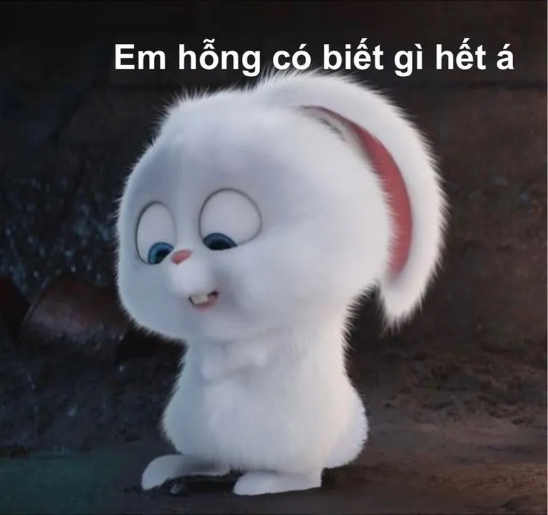 Vô tri ảnh meme người thể hiện sự hài hước trong những tình huống bất ngờ Vô tri ảnh meme người thể hiện sự hài hước trong những tình huống bất ngờ