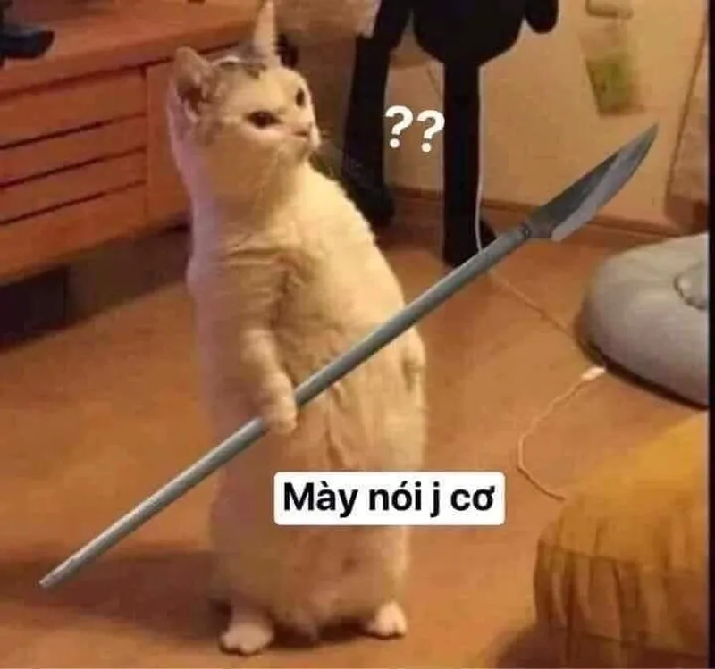 Ảnh meme avatar vô tri mang đến sự sáng tạo cho những ai yêu thích meme Ảnh meme avatar vô tri mang đến sự sáng tạo cho những ai yêu thích meme