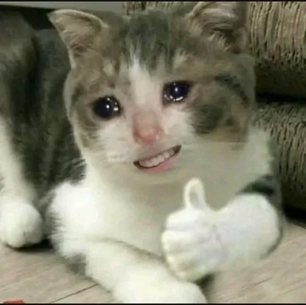 Meme cười vô tri mang lại tiếng cười cho mọi người trong cuộc sống Meme cười vô tri mang lại tiếng cười cho mọi người trong cuộc sống