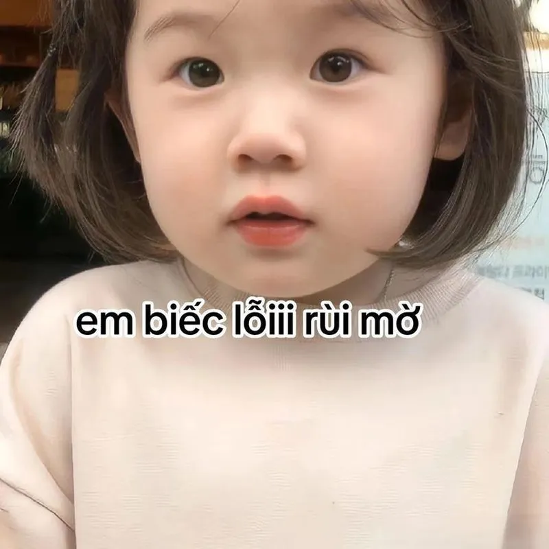 Ảnh meme vô tri cute khiến mọi người cảm thấy vui vẻ và dễ chịu Ảnh meme vô tri cute khiến mọi người cảm thấy vui vẻ và dễ chịu