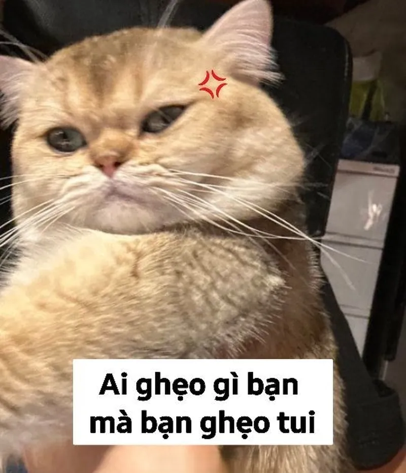 Mặt vô tri meme thể hiện sự hài hước trong những tình huống bất ngờ Mặt vô tri meme thể hiện sự hài hước trong những tình huống bất ngờ