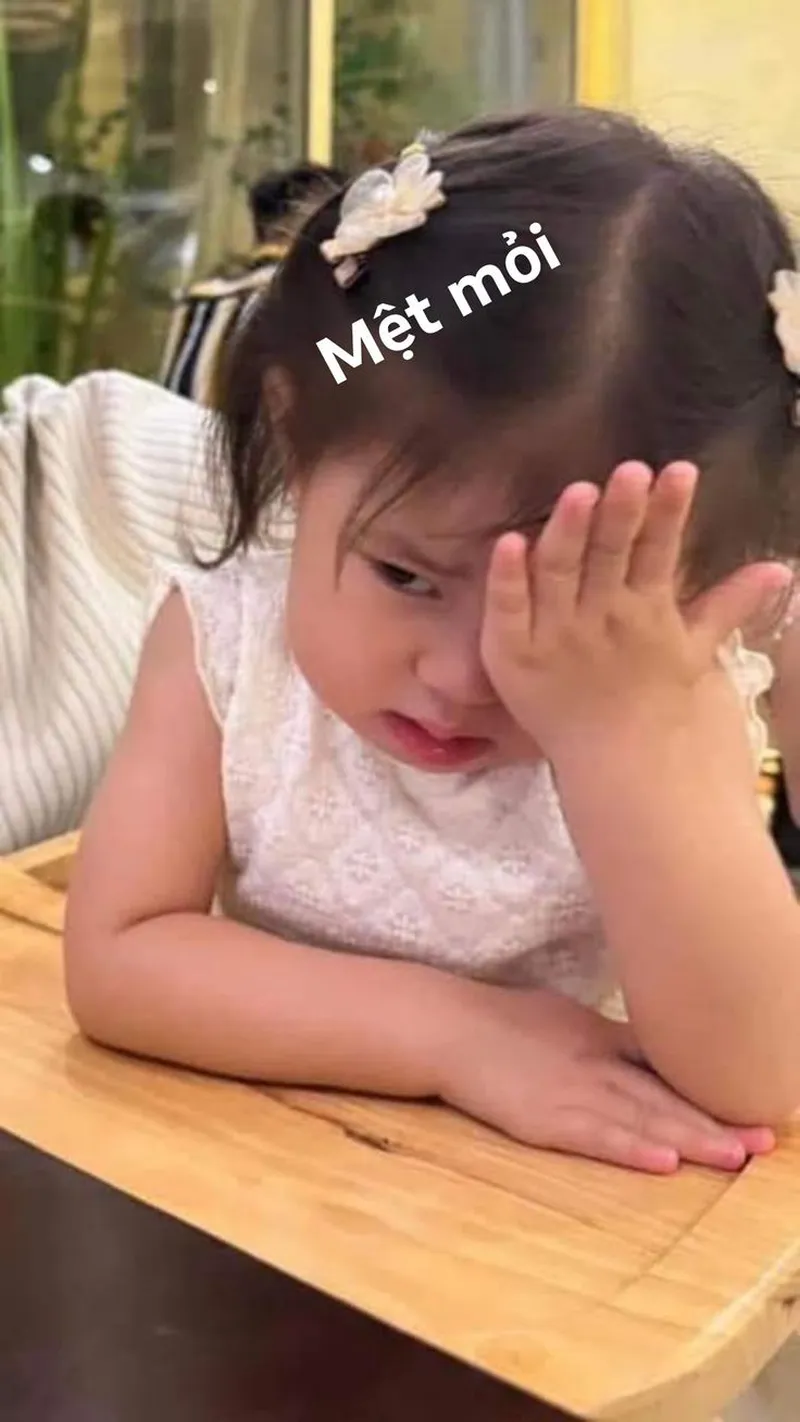 Vô tri:y6cyh4idtry= ảnh mèo meme dễ thương khiến mọi người cảm thấy vui vẻ Vô tri:y6cyh4idtry= ảnh mèo meme dễ thương khiến mọi người cảm thấy vui vẻ