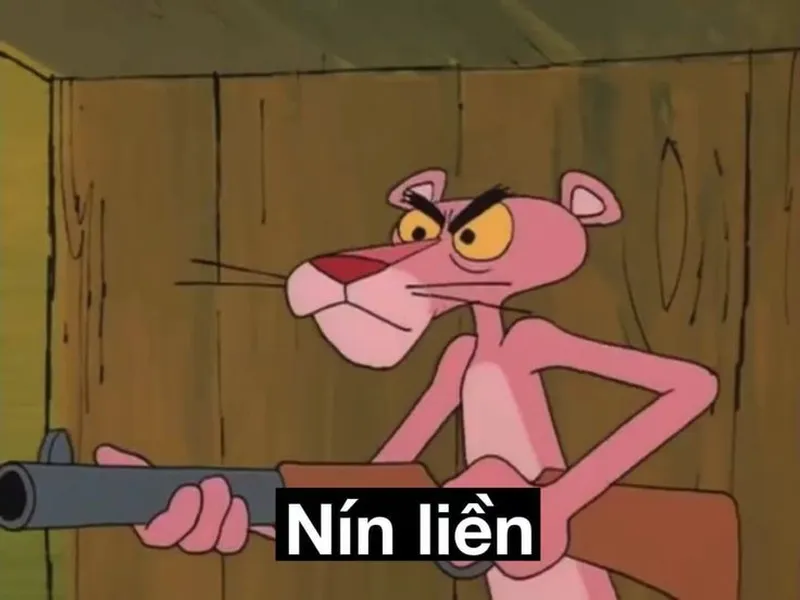 Meme ảnh mèo cute giúp bạn thư giãn và cười thoải mái Meme ảnh mèo cute giúp bạn thư giãn và cười thoải mái