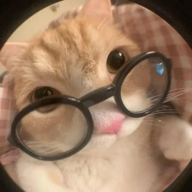 Ảnh meme mèo cute mang đến sự dễ thương cho những ai yêu thích động vật Ảnh meme mèo cute mang đến sự dễ thương cho những ai yêu thích động vật