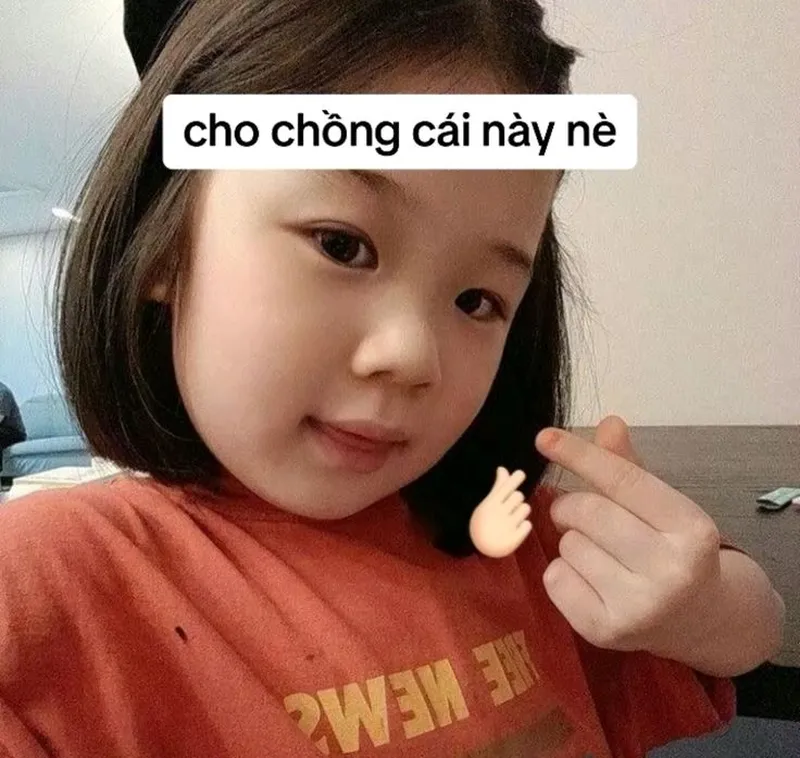 Ảnh mèo cute meme giúp bạn thể hiện sự đáng yêu trong cuộc sống Ảnh mèo cute meme giúp bạn thể hiện sự đáng yêu trong cuộc sống