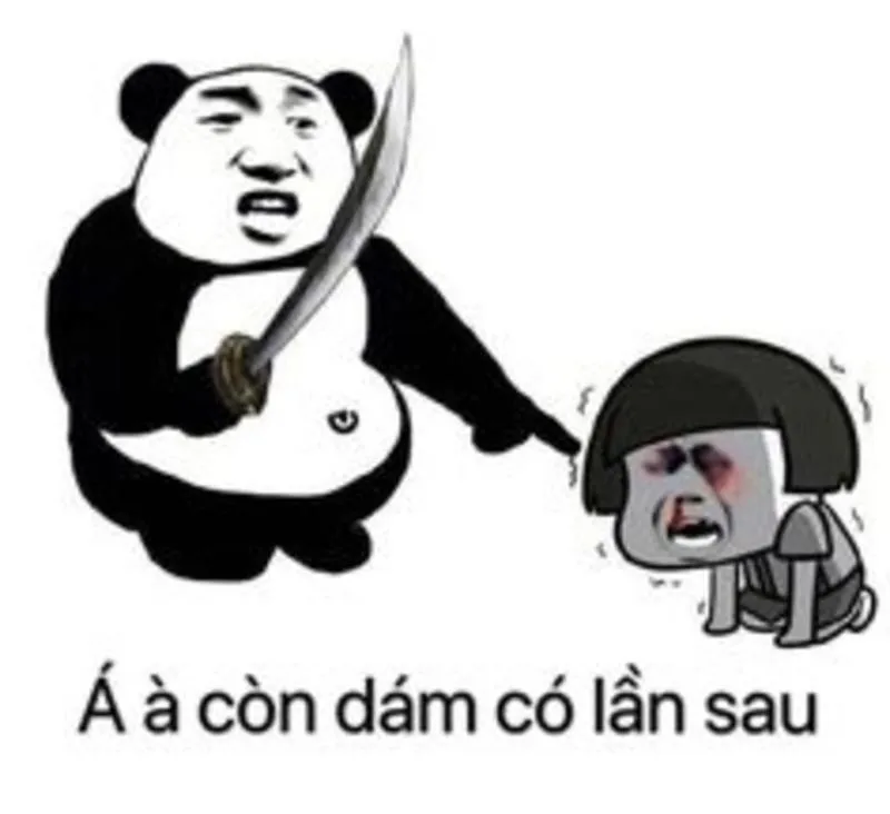 Gấu meme trung quốc khiến bạn không thể nhịn cười Gấu meme trung quốc khiến bạn không thể nhịn cười