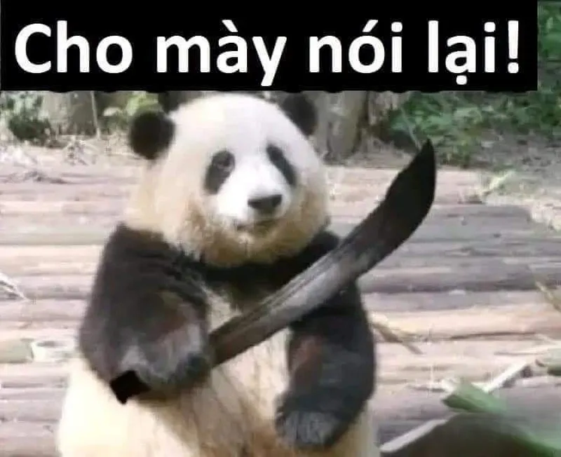 Meme trung quốc hài khiến bạn không thể nhịn cười Meme trung quốc hài khiến bạn không thể nhịn cười