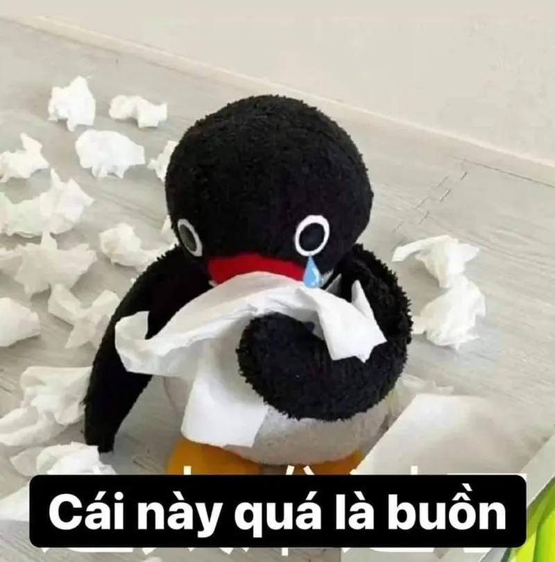Meme con gấu trúc trung quốc mang lại tiếng cười sảng khoái Meme con gấu trúc trung quốc mang lại tiếng cười sảng khoái