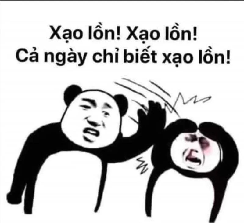 Meme trung hoa khiến bạn cảm thấy thích thú Meme trung hoa khiến bạn cảm thấy thích thú