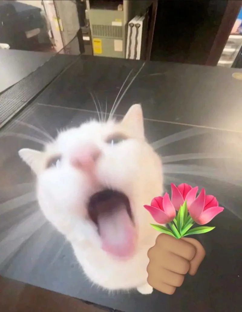 Meme em bé khóc thật đáng yêu và hài hước Meme em bé khóc thật đáng yêu và hài hước