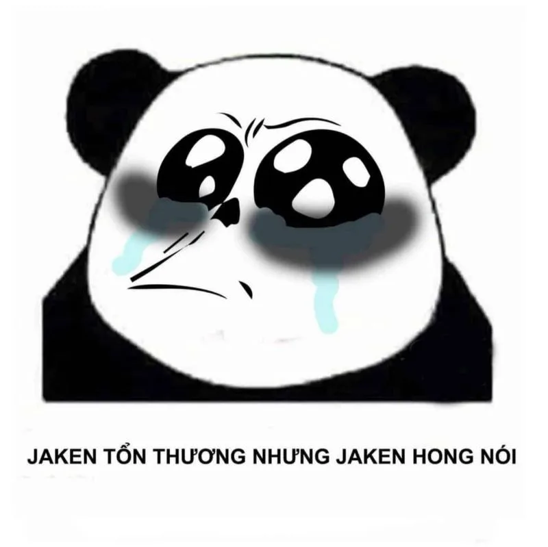 Meme nằm khóc thật hài hước và thú vị Meme nằm khóc thật hài hước và thú vị