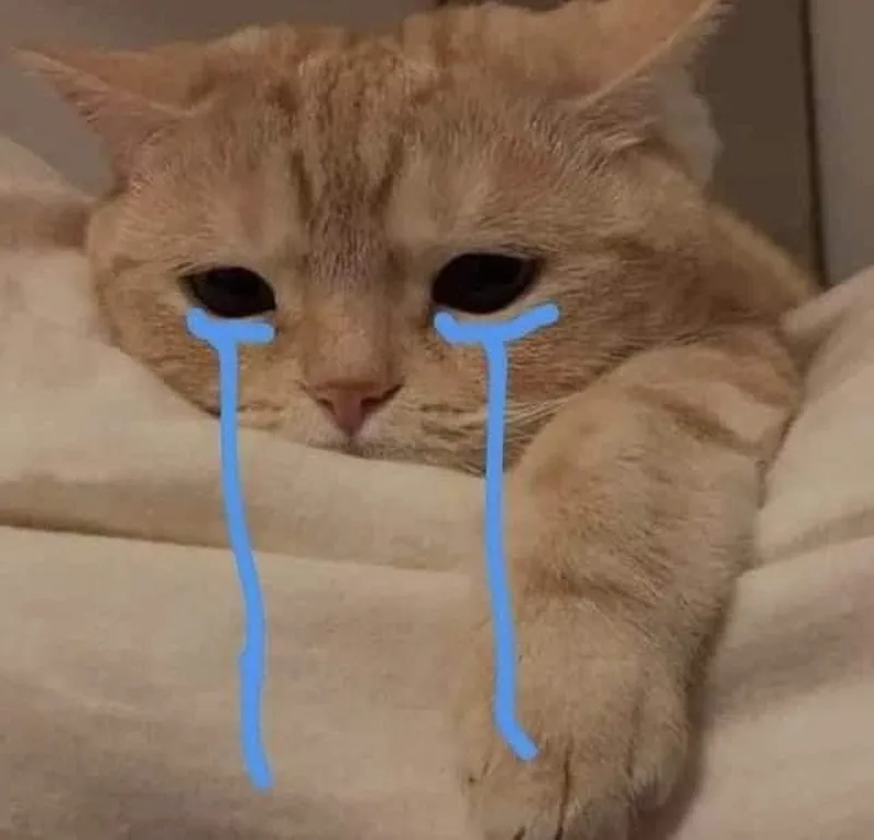 Meme con gấu trung quốc thật đáng yêu và vui nhộn Meme con gấu trung quốc thật đáng yêu và vui nhộn