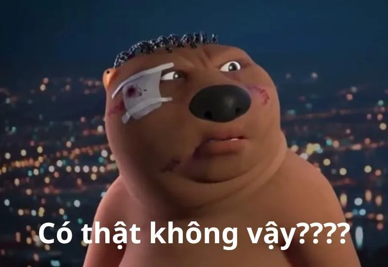 Meme mèo có chữ thật hài hước và thú vị Meme mèo có chữ thật hài hước và thú vị