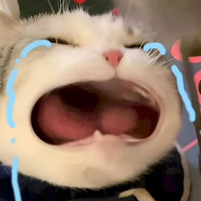 Hoạt hình meme trung quốc khiến bạn không thể rời mắt Hoạt hình meme trung quốc khiến bạn không thể rời mắt