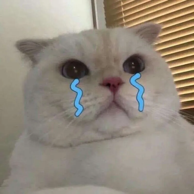 Meme phim châu tinh trì thật hài hước và thú vị Meme phim châu tinh trì thật hài hước và thú vị