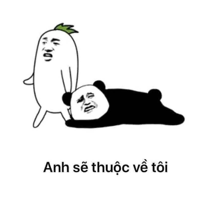 Meme mèo hun thật dễ thương và đáng yêu Meme mèo hun thật dễ thương và đáng yêu