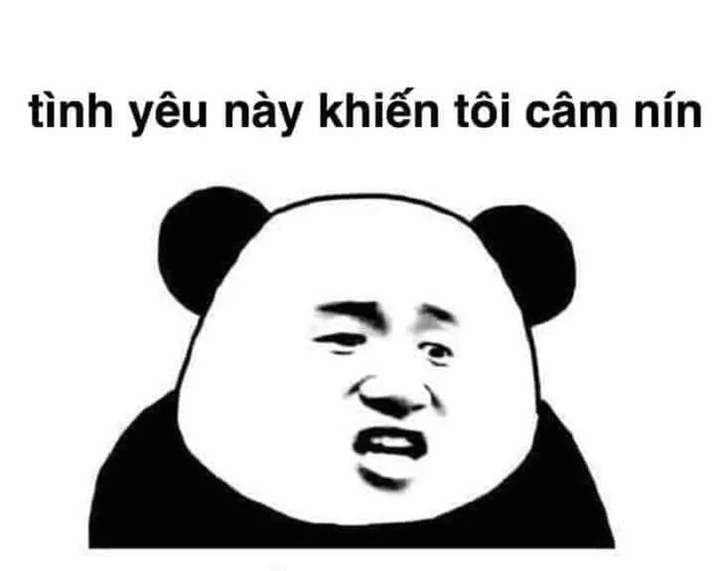 Ảnh meme mèo tình yêu thật đáng yêu và vui nhộn Ảnh meme mèo tình yêu thật đáng yêu và vui nhộn