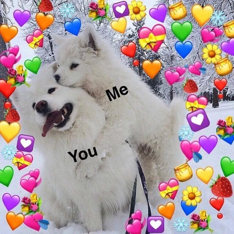 Cute meme tình yêu mang lại niềm vui bất ngờ Cute meme tình yêu mang lại niềm vui bất ngờ
