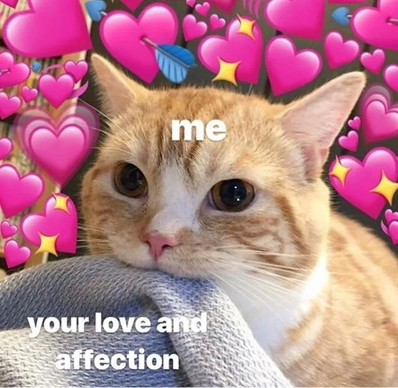Meme tình yêu vũ trụ thật đáng yêu và hài hước Meme tình yêu vũ trụ thật đáng yêu và hài hước