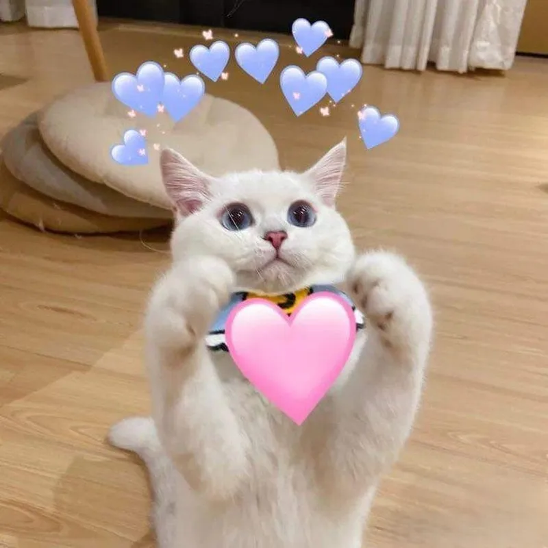 Meme sạc pin tình yêu khiến bạn không thể nhịn cười Meme sạc pin tình yêu khiến bạn không thể nhịn cười