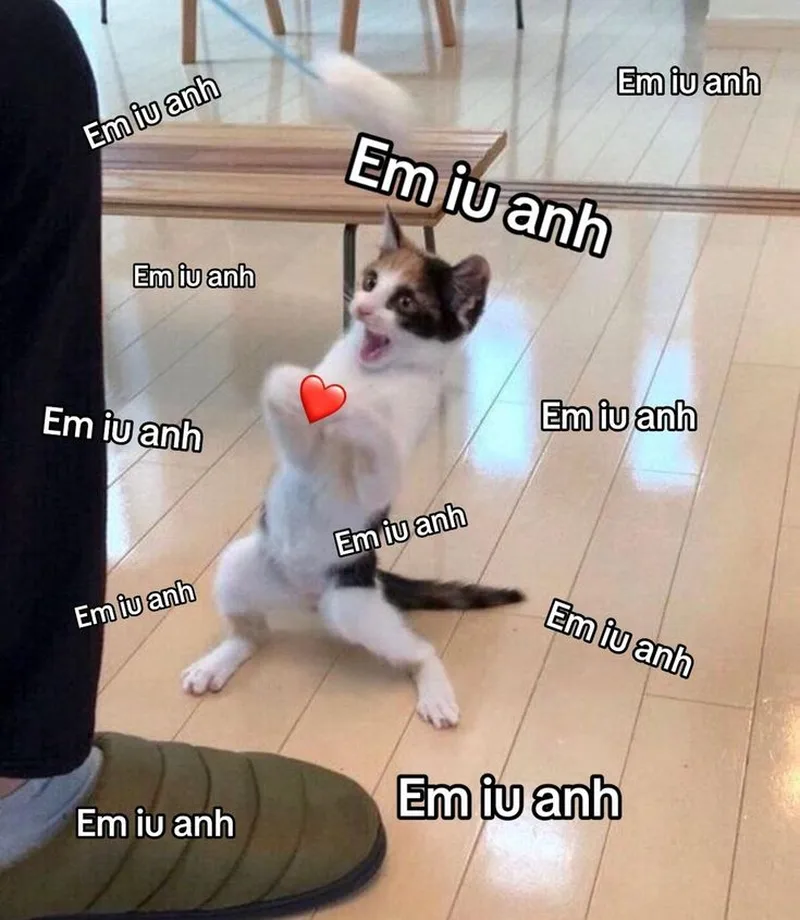 Meme yêu 1 người vô tâm khiến bạn cảm thấy đồng cảm Meme yêu 1 người vô tâm khiến bạn cảm thấy đồng cảm