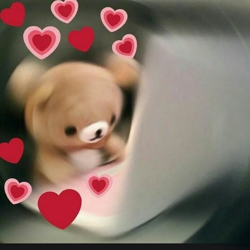 Meme si tình thật đáng yêu và hài hước Meme si tình thật đáng yêu và hài hước