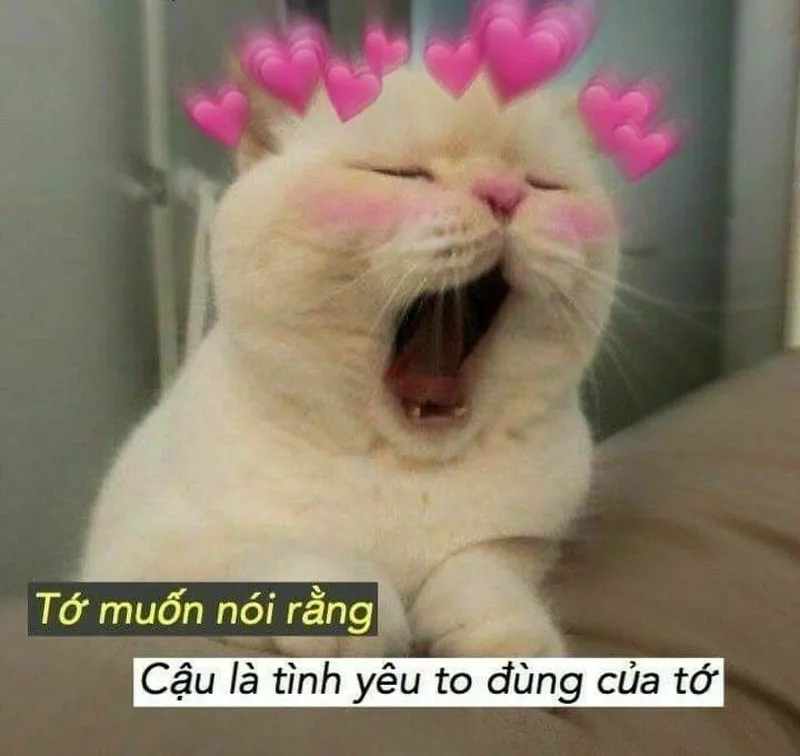 Meme buồn bã thật hài hước và thú vị Meme buồn bã thật hài hước và thú vị