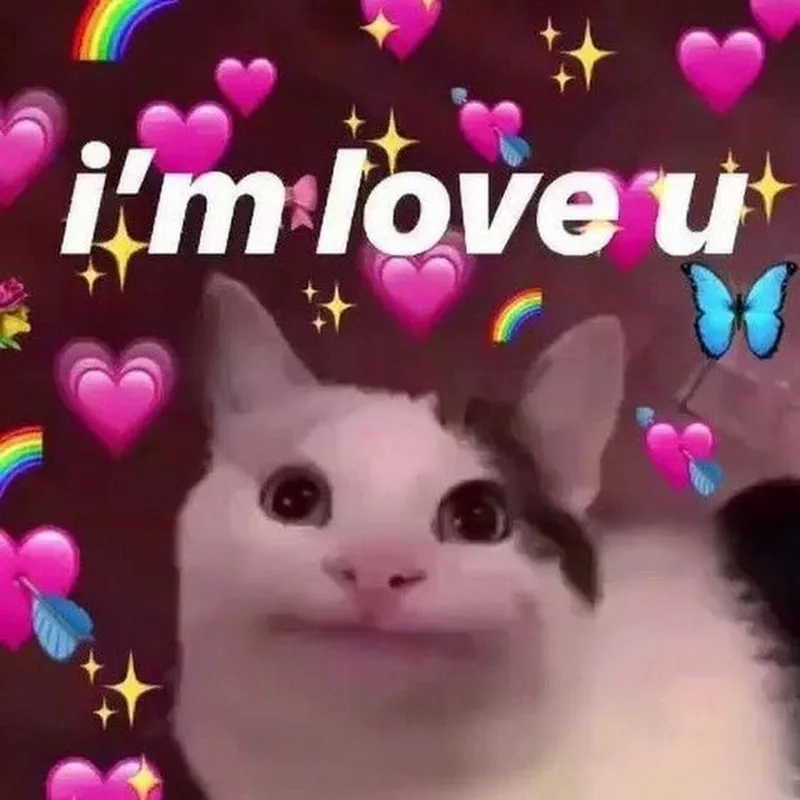 Ảnh meme cute tình yêu thật đáng yêu và hài hước Ảnh meme cute tình yêu thật đáng yêu và hài hước