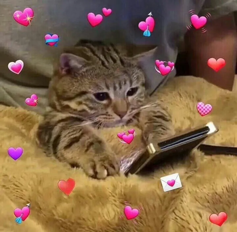 Meme an ủi người yêu thật đáng yêu và hài hước Meme an ủi người yêu thật đáng yêu và hài hước