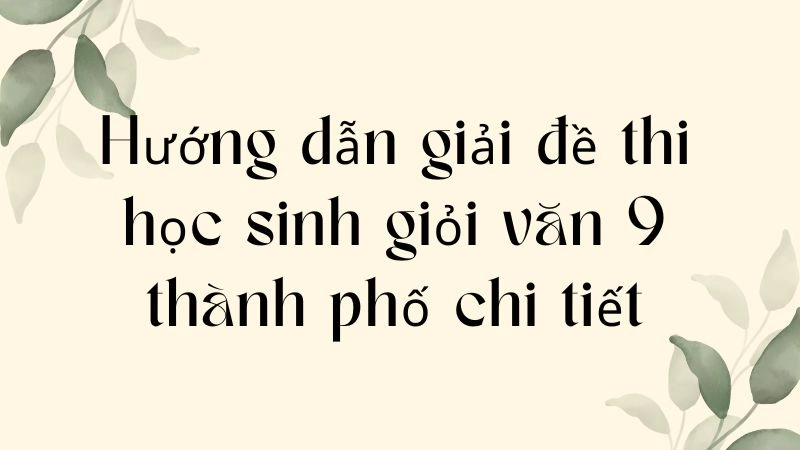 Hướng dẫn giải đề thi học sinh giỏi văn 9 thành phố chi tiết