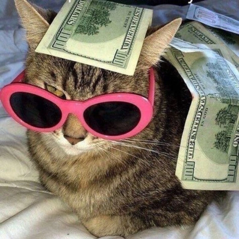 Hình ảnh con mèo chibi cute nét vẽ ngộ nghĩnh kawaii 