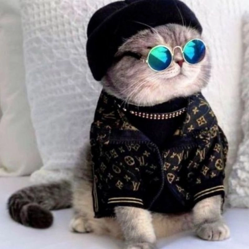 Tay mèo chibi phong cách kawaii dễ thương 