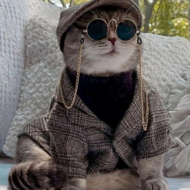 Chị mèo chibi nét vẽ ngộ nghĩnh kawaii đáng yêu 